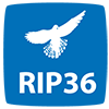 Le RIP 36